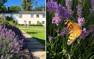 Olle Nymans i Saltsjö Duvnäs