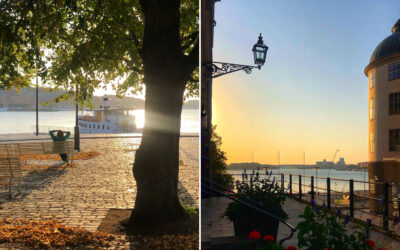 Riddarholmen i september